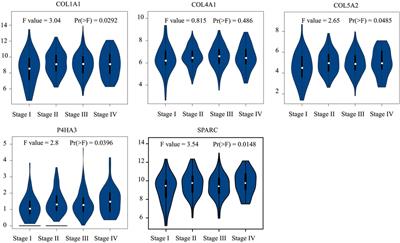 Identification of Potential Diagnostic and Prognostic Biomarkers for Gastric Cancer Based on Bioinformatic Analysis